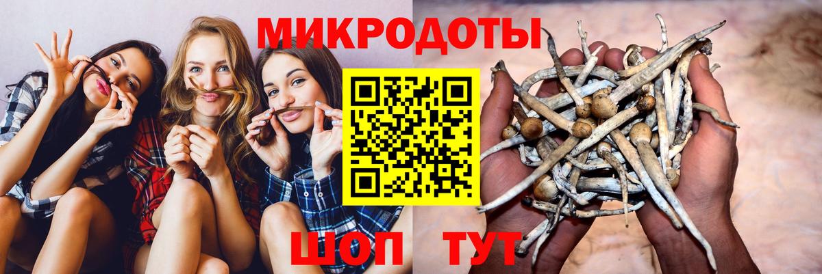 Прохладный  Галлюциногенные грибы Psilocybine cubensis  Вход с VPN 