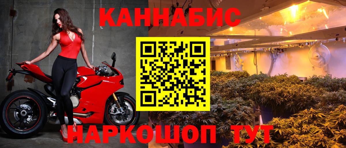 Каннабис SATIVA & INDICA  Бошки марихуана тримм  Прохладный  Вход с VPN  Конопля Amnesia 